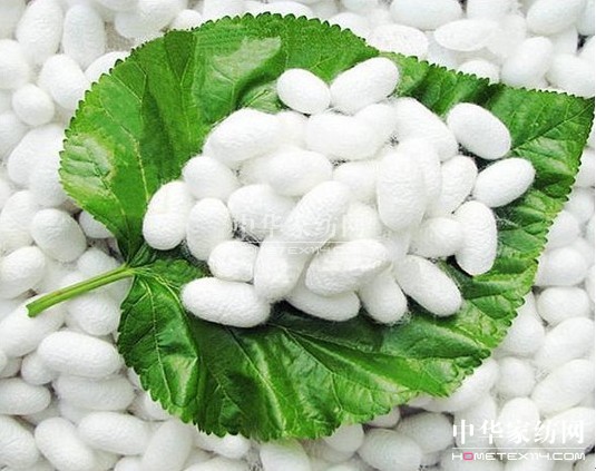 ���_�m�����Q�zPK����z