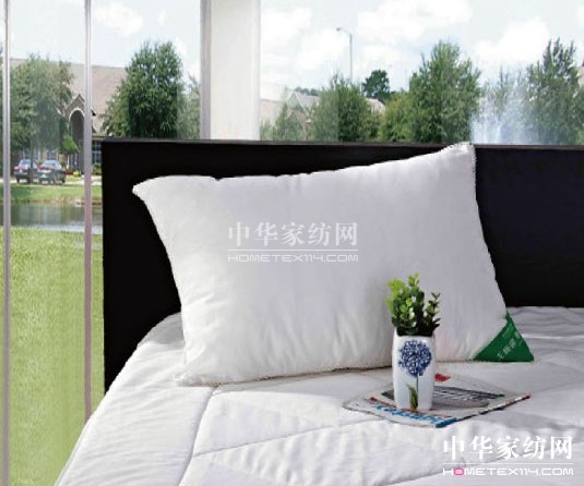 �����Бn�����߾���������˯��