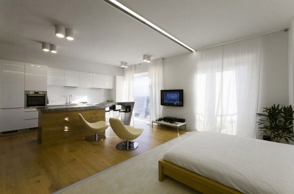 創意的全開放式小戶型