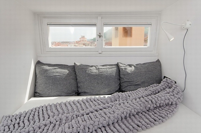 ������ڰ��w��