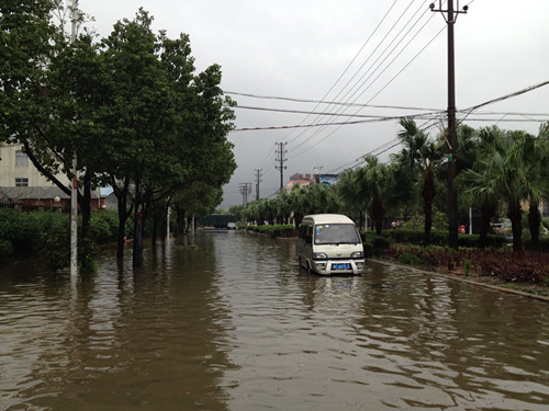 “菲特”臺風登陸蒼南 盛宇抗臺救災搶險