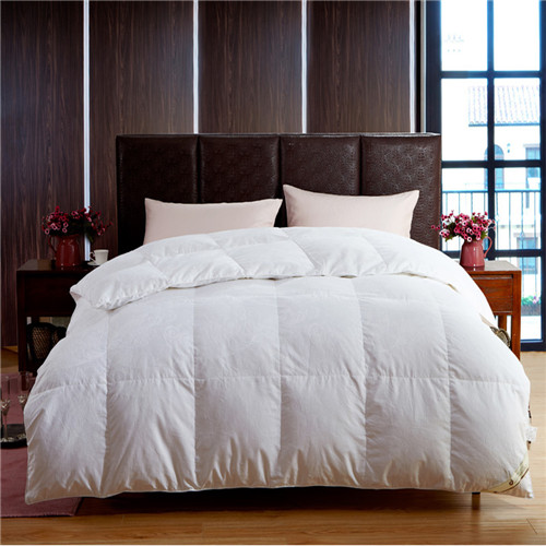 ��q�������L�r(sh��)����