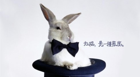 ��(sh��)��(j��)��̣��R�Ƶġ��p11�������(ji��)���