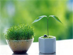 �����＾�Ҿ� ���Ĳ����ϻ�