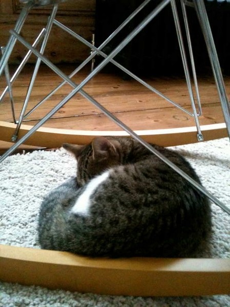 MaddalenaCannarsa溫暖安寧的家