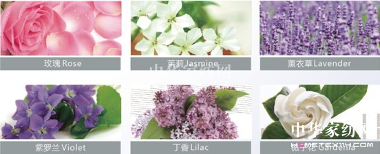 藍品:芳香床品 讓生活更有味道