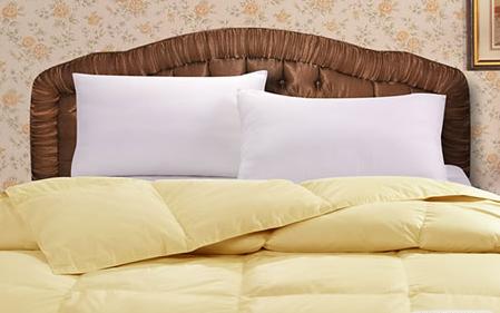 ������_��ϴ��q��