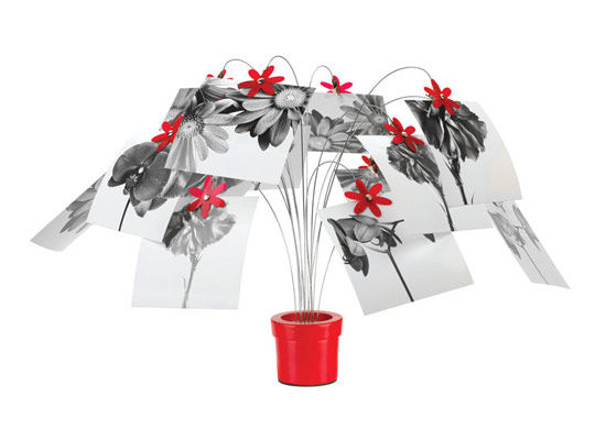 創意花型家品打造氣質春日生活