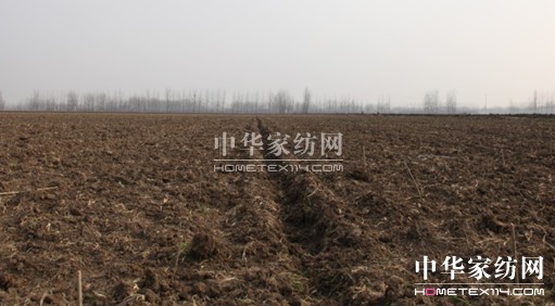 玖久絲綢萬畝生態桑園科學栽桑