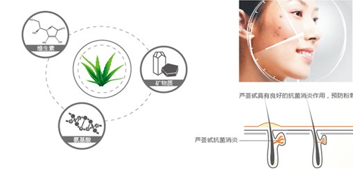 藍(lán)品科技:以天然滋養(yǎng)生命!