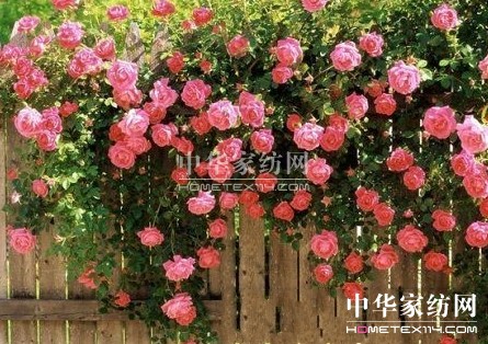 2014歐派家紡春夏新品華麗上市——“色繽紛”