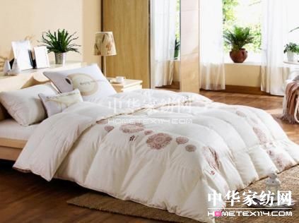 中華家紡網(wǎng)的成長之路