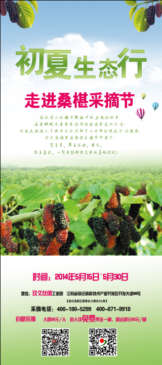 玖久絲綢首屆桑葚采摘節(jié)盛大開啟