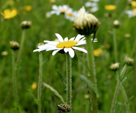歐派"最"搭配之打造明媚初夏最佳居室方案