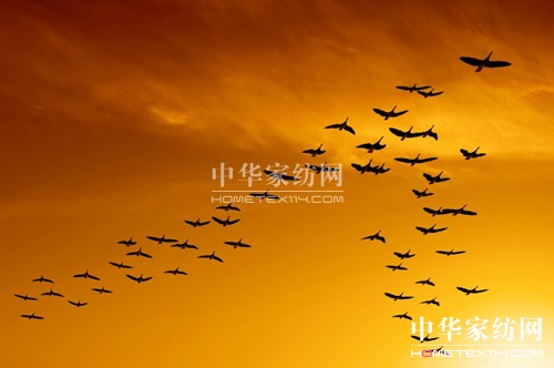 領(lǐng)導(dǎo)力之根——信譽(yù)和穩(wěn)定