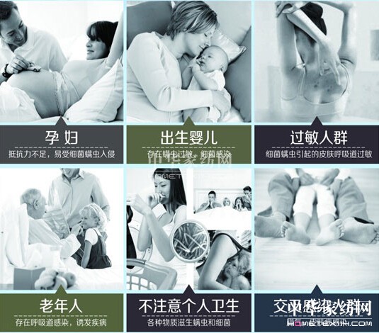 床品螨蟲細(xì)菌危及生命抗菌防螨很有必要