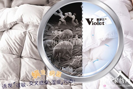 棉被上的螨蟲該如何根治?