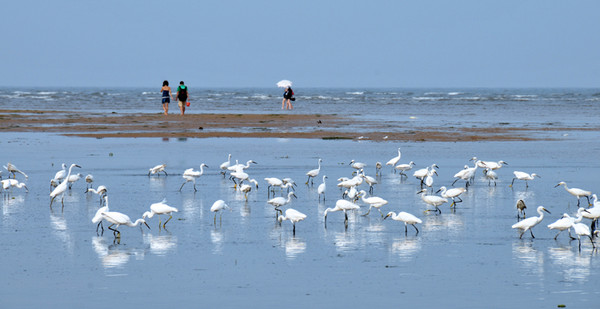 “天人共好”核心價(jià)值讓做生意更美好
