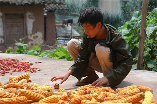 品質(zhì)58周年夢(mèng)潔家紡與全球愛家人一同夢(mèng)想