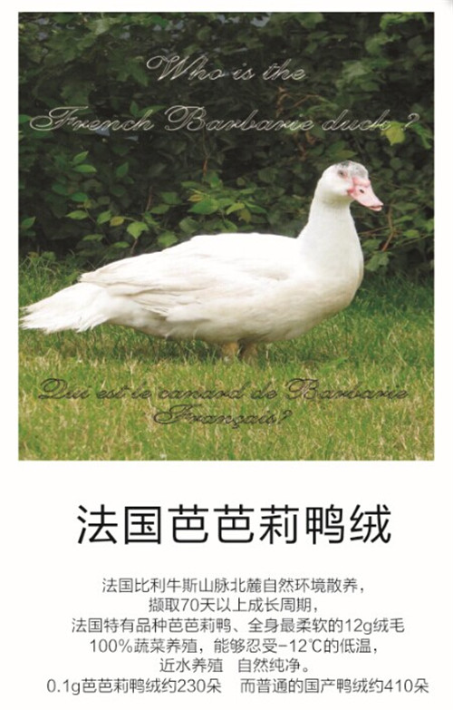 品質(zhì)58周年夢(mèng)潔家紡與全球愛家人一同夢(mèng)想