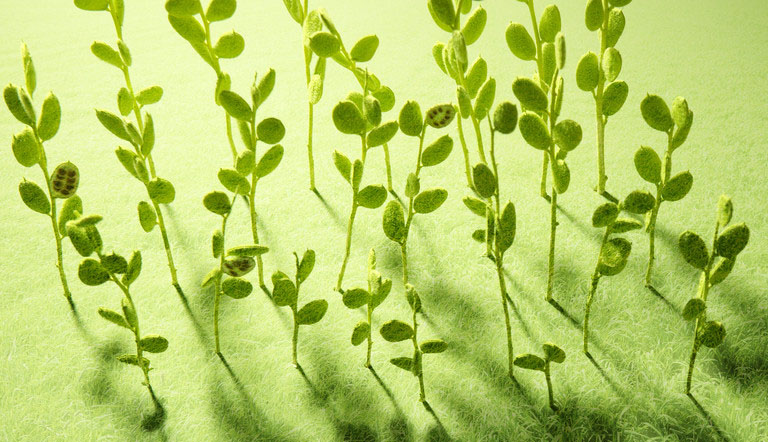 所有偉大領(lǐng)導(dǎo)者都具備的特質(zhì)