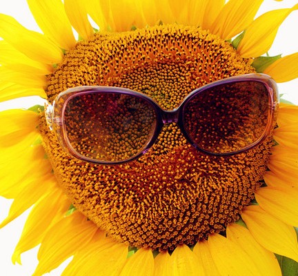 德國(guó)是如何管理的:六點(diǎn)管理哲學(xué)智慧