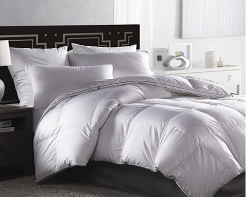 惠誼家紡暖溢于“芯”