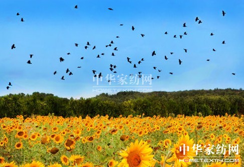 ����һ��ȥ���_��˹���s����