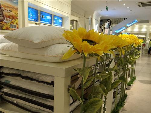 �Pʢ�Ҽ�2015���ﶬ��Ʒ�l(f��)����(hu��)�����_(k��i)