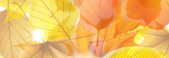 ����˯�ߣ�ه��Violet���C(j��)�Ҽ�