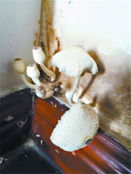 �û�����Ҿ���Ʒ�������^������ˬ��÷�꼾