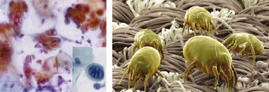 ���_�m�Ҽ�����(��i)������������(��i)��360�㝍����˯