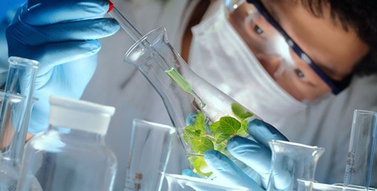 ���_�m�Ҽ���ɭ��������˯�ߡ����C���Сɭ��