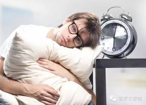 紫羅蘭生機立體枕:從此高枕無憂,因為我睡了它