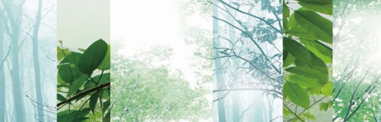 紫羅蘭生機家紡:在巴馬原生態(tài)山谷湖水間-尋一場輕夢