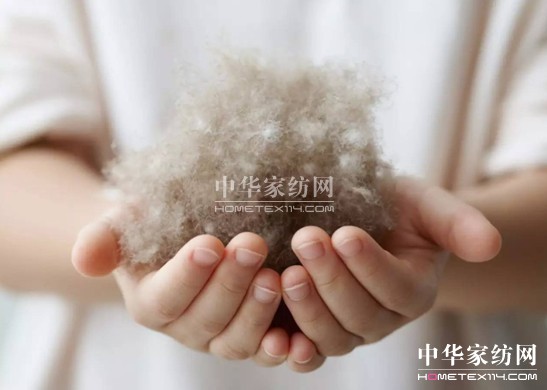 ���⣡27�f�I�²���Ҽ�"����"��"����"��