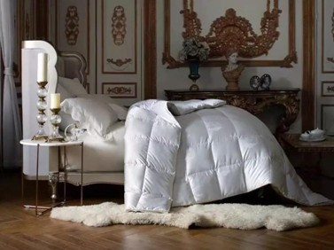 19�f8���I����Ҽ������������ފy��ĺ����Ԇ���