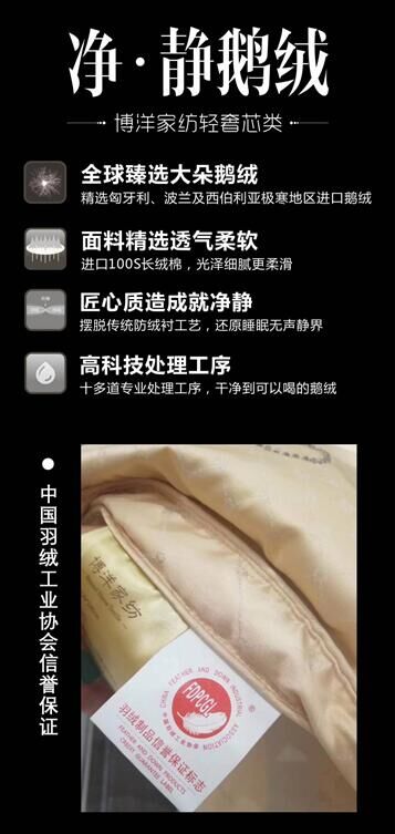 博洋家紡凈•靜鵝絨:刷新您全方位的體驗(yàn)