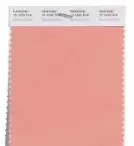 【干貨】香港本色2018流行色發(fā)布