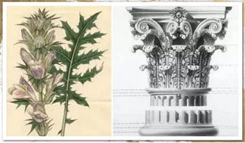 博洋家紡嘉鼎華庭:古典氣韻與簡(jiǎn)約的碰撞