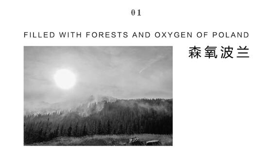 博洋家紡波蘭媽媽絨,致敬輕奢生活!