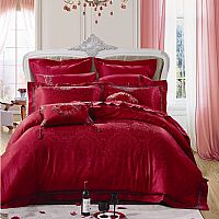 ���ҼҼ�JX269 �֐��aƷ�DƬչʾ