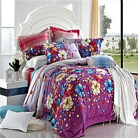 ����ӳ��