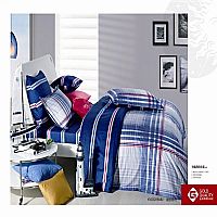 ҹ������