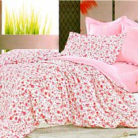 ������飨�ۣ�