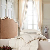 �ӵϼ{�Z�q����