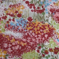 ȫ�ޏ�������