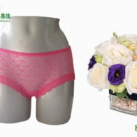 ���w�S�¿�Ůʿ��ѝ