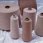 ��Ȼ���޼���