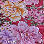 ȫ��Ⱦɫ��ӡ��